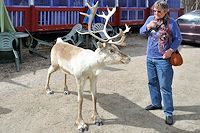 Vorschaubild: Finnland entlang der Westküste der ist nicht echt