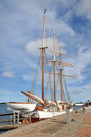 Vorschaubild: Besuch bei den Königen der Wälder im Hafen von Västervik