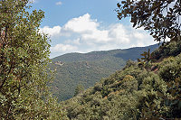 Vorschaubild: katalanischen Hinterland am Montsant